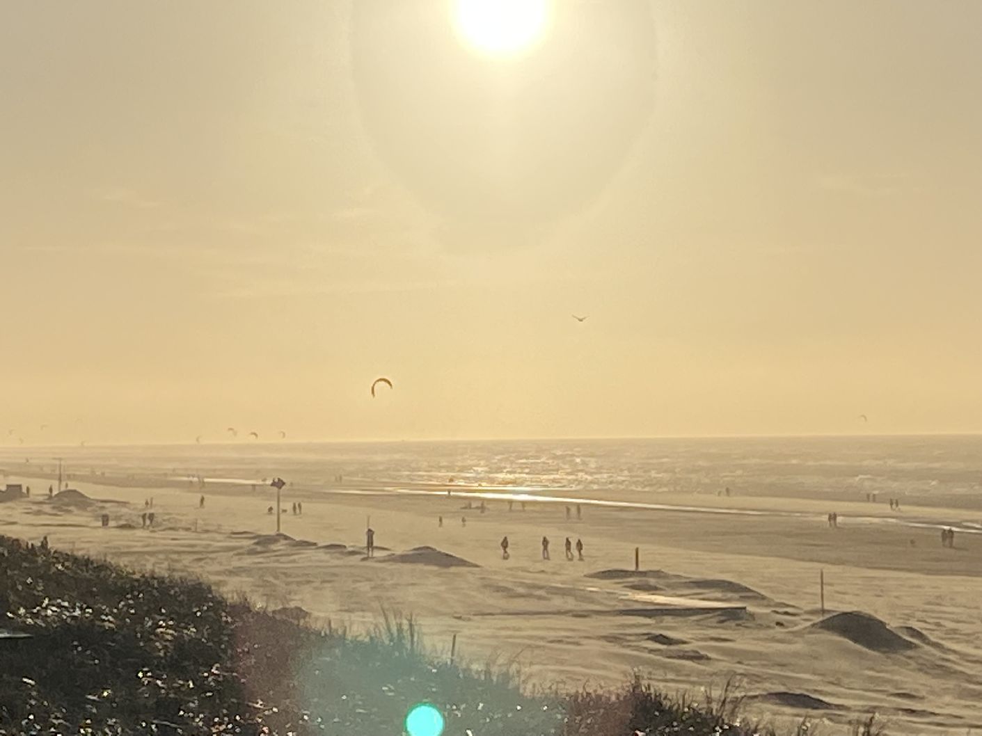 Aanbod AnnesPlanB 3 coaching